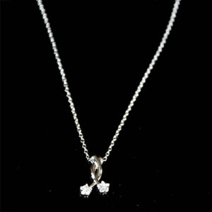 Amazing Silver AD Stone Twin Lucky Short Chain