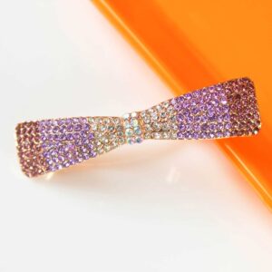 Trendy Stylish Sleek CZ Stone Embedded Violet Hair Clip